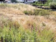 Lote Terreno Castelo Branco