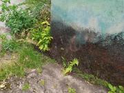 Lote / Terreno com 1 quarto à venda em Contagem, no...