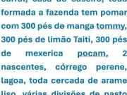 Lote / Terreno com 3 quartos à venda em Felixlândia, no...