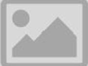 Lote / Terreno en Renta en Bellavista