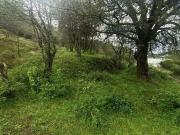 Lote / Terreno en Venta en La Estanzuela