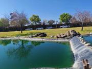 Lote / Terreno en Venta en Lomas de Angel?polis