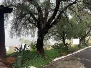 Lote / Terreno en Venta en Vista Real