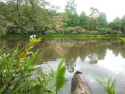 Lote / Terreno para venda em Alpes Dos Araçás jordanésia...