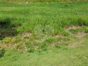 Lote / Terreno para venda em Medeiros de 1273.00m²