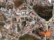 Lote, Torres Vedras São Pedro e Santiago e Santa Maria...