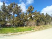 Lote ubicado en 152 e/ 32 y 531