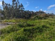 Lote urbano construção moradia Caldas da Rainha