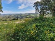 Lote urbano construção moradia Óbidos