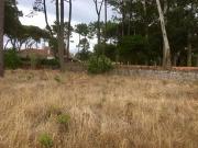 Lote urbano para construção, com a área de 3250 m2 em...