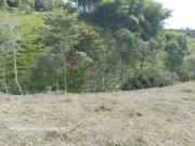 Lote Venta Alcalá Valle del Cauca