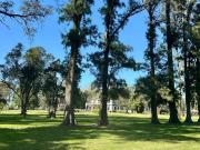 LOTE VENTA Bº CERRADO TRES PINOS GRAL.RODRIGUEZ