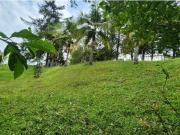 LOTE VENTA EL CARMEN DE VIBORAL