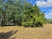 LOTE VENTA GONNET ENTRE CAMINOS