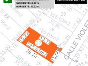 Lote Violeta 27 Mz Xviii Fracc Rancho San Diego Ixtapan...