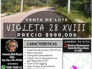 LOTE VIOLETA 28 XVIII Fracc Rancho San Diego Ixtapan Sal...