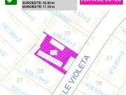 LOTE VIOLETA 29 XVIII Rancho San Diego Ixtapan de la Sal...