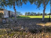 LOTE Y TERENO EN VENTA HARAS DEL SUR 3 1.000 m