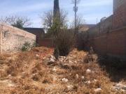 Lote Zeferino, Sta. Julia