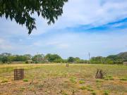 LOTE ZONA FRANCA INDUSTRIAL