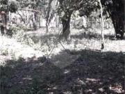 Loteamento com 1 quartos à venda em Ponunduva SP