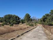 Loteamento com 76 Fogos