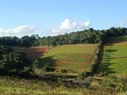 Loteamento com Infraestrutura Completa e Lazer em Ibiúna