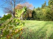 Loteamento Ouro Verde Lote 6