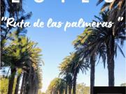 Loteo Ruta de las Palmeras, San José