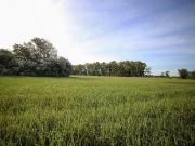 Lotes a la venta en Chacras de San Andres
