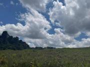 Lotes amplos à venda em Ibiúna/SP