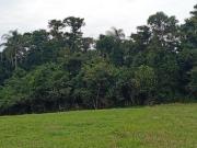 Lotes amplos com 1.000 m², liberados para construir