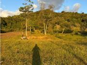 LOTES CAMPESTRES EN VENTA LA BUITRERA PALMIRA