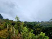 LOTES CON HERMOSA VISTA ACCESO A QUEBRADA VIA LA SAN...