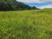 Lotes de 1.000 m² para investimento em Ibiúna SP