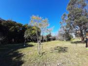 Lotes de 20x40 20x50 20x100 en calle 515 y 149. La Merced