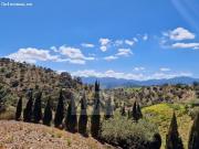 Lotes de terreno con construcción rústica en Gibralgalia