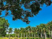 LOTES DE TERRENO EN VENTA, CLUB DE GOLF HACIENDA SAN GASPAR