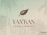 Lotes de Terreno en Venta / Yax'Kan Tixkokob, Yucatán