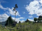 Lotes de venta en Challuabamba sector apangoras...