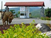 Lotes desde 180 M2 dentro de desarrollo Los Caballos...