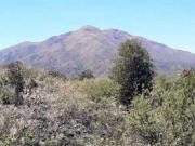 Lotes en barrio La Banda