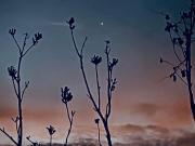 LOTES EN PREVENTA EN LA COLONIA 3 DE MAYO