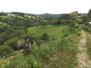 LOTES EN VENTA CHACHATOY PASTO