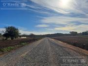 Lotes en venta en El Pato Berazategui Terrenos desde 295 m2