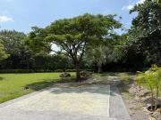 Lotes en venta en Jiutepec Centro dentro de...