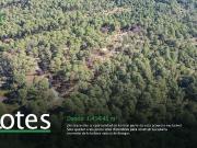 Lotes en Venta en la Bosqueda, Tapalpa Jalisco L 5
