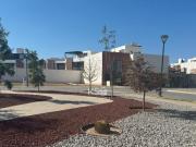 LOTES EN VENTA FRACCIONAMIENTO CARDELL
