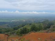 LOTES EN VENTA LA BUITRERA PALMIRA REF: 9360181