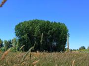 LOTES EN VENTA SANTA JUANA